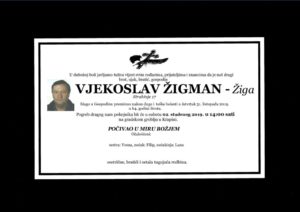 thumbnail of Vjekoslav_Zigman