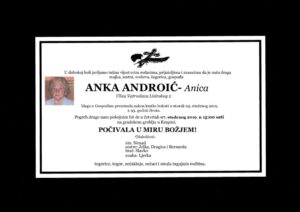 thumbnail of Anka_Androic