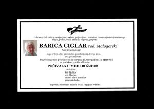 thumbnail of Barica_Ciglar