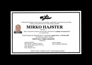 thumbnail of Mirko_Hajster
