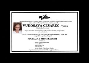 thumbnail of Vukosava_Cesarec1