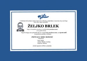 thumbnail of Zeljko_Brlek